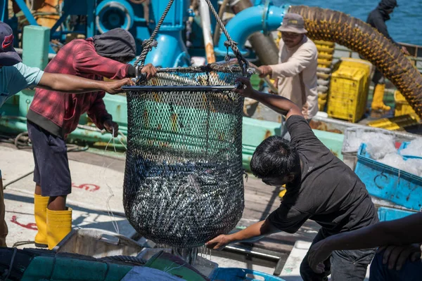 Kota Kinabalu Malaysia February 2020 Malaysian Fishermen Load Freshly Caught — Stock Photo, Image