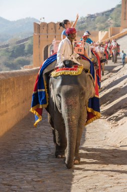 Jaipur, Hindistan - 26 Kasım 2018: Madalyalı filler eski Hindistan 'ın Rajasthan kentindeki Jaipur Kalesi' nde turistlere biniyor