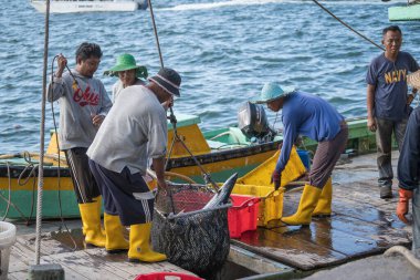 Kota Kinabalu, Malezya - 25 Şubat 2020: Malezyalı balıkçılar taze avlanan balıkları bir gemiden Kota Kinabalu, Sabah, Malezya 'daki sokak filipin pazarındaki plastik konteynırlara yüklüyorlar