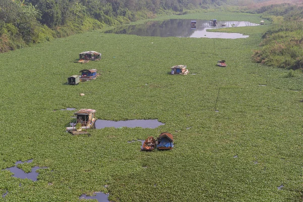 Традиционные Парусные Суда Зеленой Воде Реке Красная Ханое Вьетнам — стоковое фото