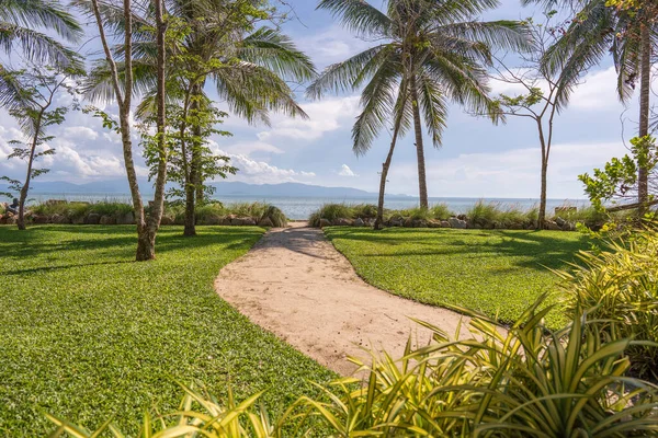 Gyönyörű Trópusi Strand Kókuszfával Zöld Gyep Fűvel Óceánhoz Koh Phangan — Stock Fotó