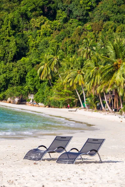 Zwei Strandliegen Sandstrand Und Grüne Kokospalmen Neben Dem Meerwasser Auf — Stockfoto