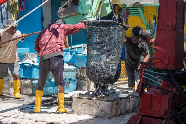 Kota Kinabalu Malaysia February 2020 Malaysian Fishermen Load Freshly Caught — Stock Photo, Image