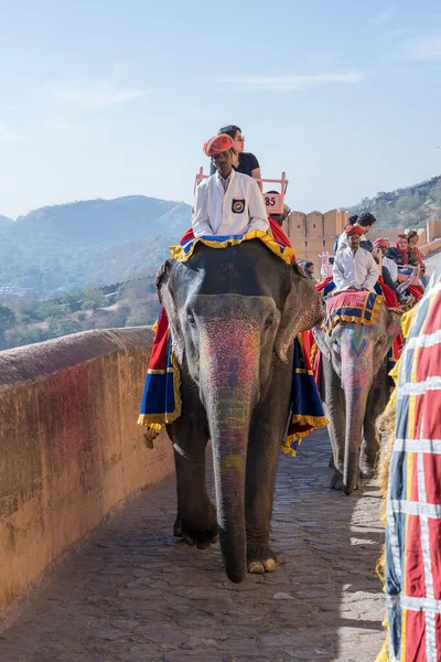 Jaipur Indie Listopadu 2018 Dekorovaní Sloni Jezdí Turistech Silnici Amber — Stock fotografie