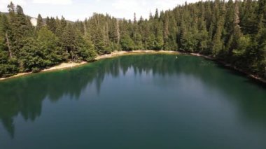 Yoğun kozalaklı ve kayın ormanlarıyla çevrili dağ gölü manzarası. Karadağ, Avrupa. Karadağ 'da ona Zabojsko Jezero diyorlar ve 1481 metre yüksekliğe sahip.