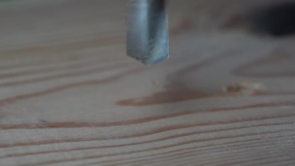 Drilling Wooden Board Drill Drills Wooden Sheet Macro Worker Drills — Vídeo de stock