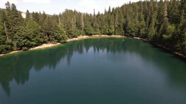 Vista Aérea Del Lago Montaña Rodeado Densos Bosques Coníferas Hayas — Vídeos de Stock