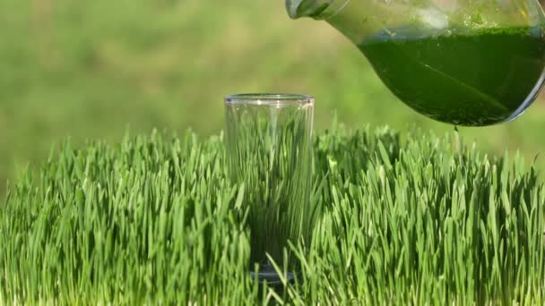 Friska Ekologiska Gröna Detox Juice Från Gräs Gröna Grodda Vetekorn — Stockvideo