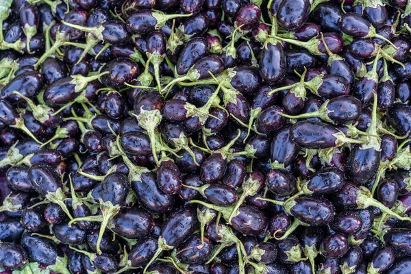 Close View Group Many Eggplants Pile Eggplants Indian Food Market — Zdjęcie stockowe