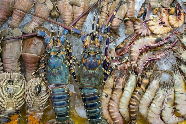 Fresh Lobster Sell Street Food Market Kota Kinabalu Island Borneo — Stock Photo, Image