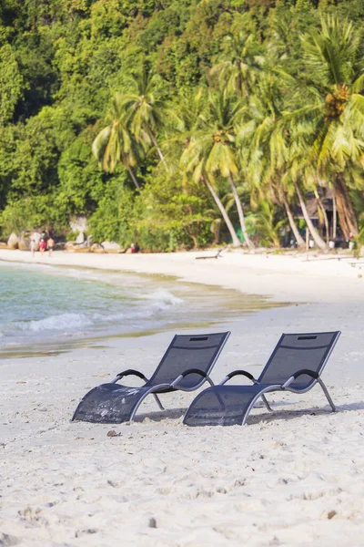 Two Beach Loungers Sand Beach Green Coconut Palm Trees Next — 스톡 사진