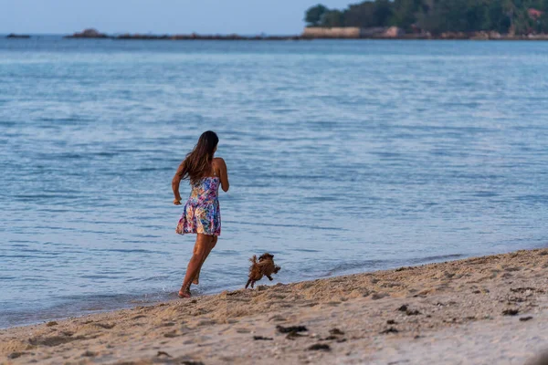 Koh Phangan Tailândia Fevereiro 2022 Mulher Cachorro Correndo Livres Praia — Fotografia de Stock