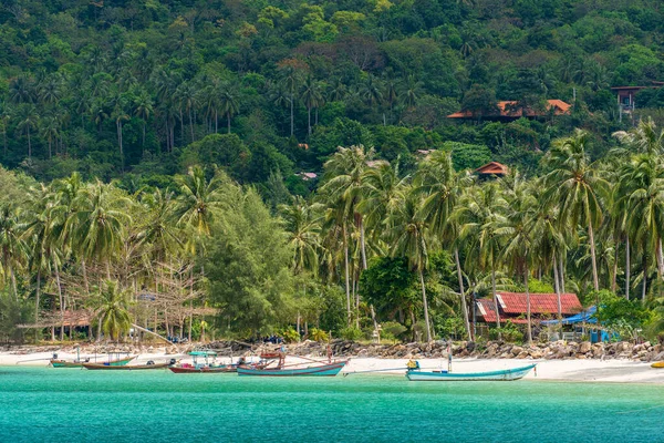 Koh Phangan Thailand Jan 2020 Beautiful Chaloklum Bay Green Palm — Stockfoto