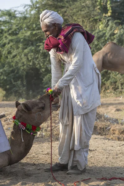 Pushkar India Nov 2018 Indiase Mannen Kameel Woestijn Thar Tijdens — Stockfoto