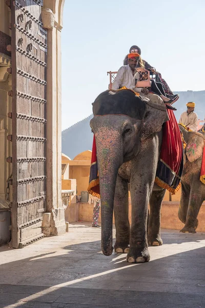 Jaipur India Novembre 2018 Gli Elefanti Decorati Cavalcano Turisti Sulla — Foto Stock