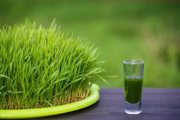 Jugo Desintoxicación Verde Orgánico Saludable Hierba Granos Trigo Germinados Verdes — Foto de Stock