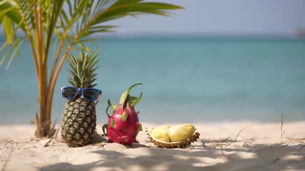 Mogen Attraktiv Ananas Och Rosa Drakfrukt Solglasögon Och Färsk Durian — Stockvideo