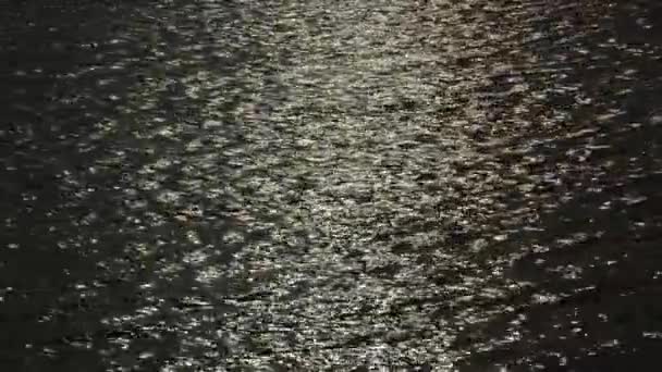 Abstrakcyjne Fale Wody Morskiej Tło Lub Tekstura Podczas Zachodu Słońca — Wideo stockowe