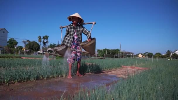 Hoi Vietnam Július 2020 Vietnami Vezető Öntözés Növényi Kert Vegetáriánus — Stock videók