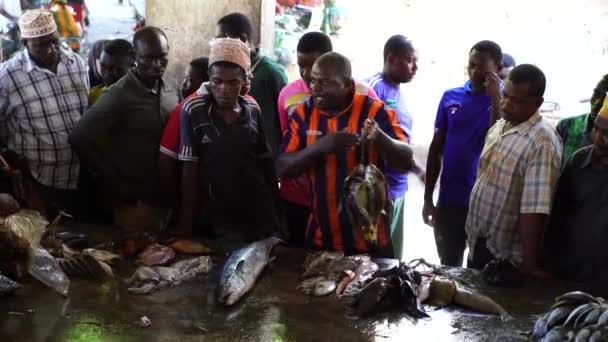 Zanzibar Tanzânia Novembro 2019 Homens Africanos Vendem Peixe Marinho Fresco — Vídeo de Stock