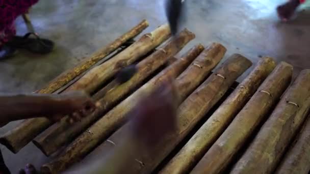 Hands Musician Playing Marimba Tourists Island Zanzibar Tanzania East Africa — Stock Video