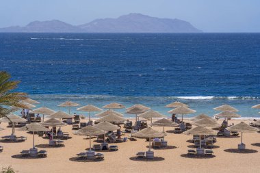 Sharm El Sheikh, Mısır - 23 Mayıs 2021: İnsanlar Sharm El Sheikh, Mısır, Afrika 'daki Kızıldeniz kıyısındaki bir tropik tatil beldesinde plaj sandalyeleri ve saman şemsiyeleriyle lüks bir kumsalda dinleniyorlar.