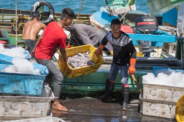 Kota Kinabalu, Malezya - 25 Şubat 2020: Malezyalı balıkçılar taze avlanan balıkları bir gemiden Kota Kinabalu, Sabah, Malezya 'daki sokak filipin pazarındaki plastik konteynırlara yüklüyorlar