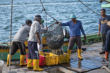 Kota Kinabalu, Malezya - 25 Şubat 2020: Malezyalı balıkçılar taze avlanan balıkları bir gemiden Kota Kinabalu, Sabah, Malezya 'daki sokak filipin pazarındaki plastik konteynırlara yüklüyorlar