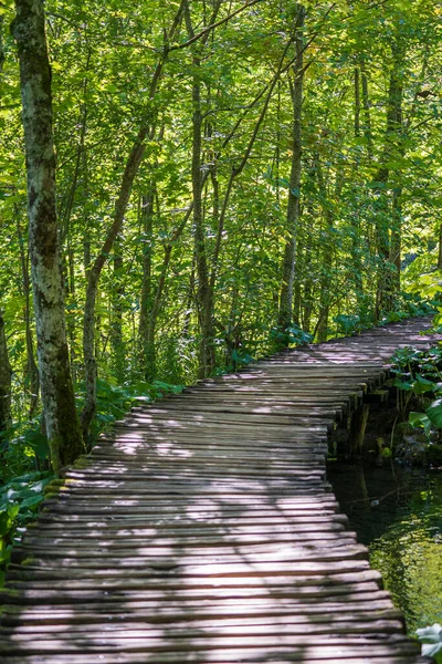 Drewniana Ścieżka Poręczami Wzdłuż Jezior Plitwickich Lasów Górskich Parku Narodowym — Zdjęcie stockowe