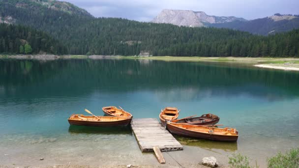 Veduta Del Lago Nero Crno Jezero Montenegro Settentrionale Barche Turistiche — Video Stock