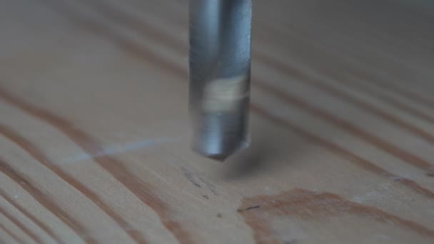 Drilling Wooden Board Drill Drills Wooden Sheet Macro Worker Drills — Stock Video