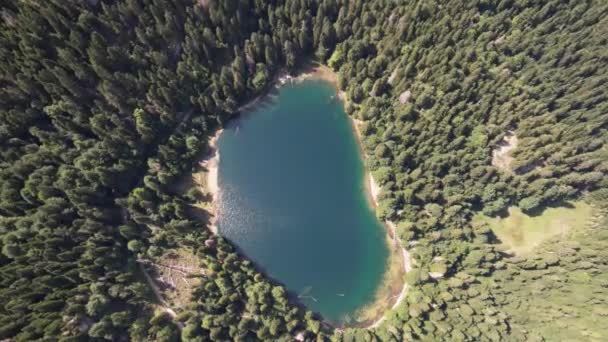 Uitzicht Vanuit Lucht Het Bergmeer Omgeven Door Dichte Naald Beukenbossen — Stockvideo