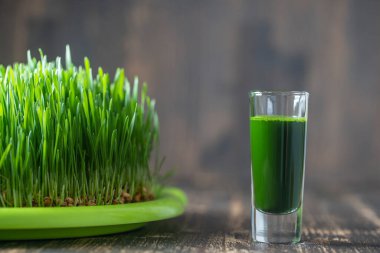 Yeşil filizlenmiş buğday tanelerinin çimlerinden sağlıklı organik yeşil detoks suyu, yakın çekim. Yeşil yapraklar taze buğday ve buğday suyu