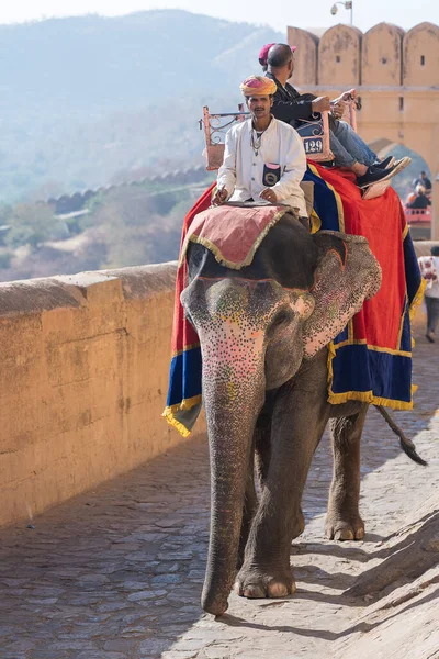 Jaipur Inde Nov 2018 Des Éléphants Décorés Chevauchent Des Touristes — Photo