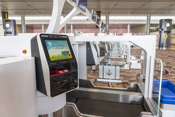 Aeropuerto Changi Singapur Marzo 2019 Instalaciones Facturación Autoservicio Terminal Aeropuerto — Foto de Stock