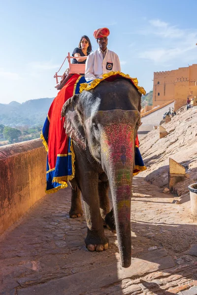 Jaipur, Hindistan - 26 Kasım 2018: Madalyalı filler eski Hindistan 'ın Rajasthan kentindeki Jaipur Kalesi' nde turistlere biniyor