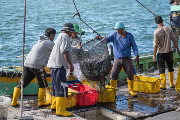 Kota Kinabalu Malaysia February 2020 Malaysian Fishermen Load Freshly Caught — Stock Photo, Image