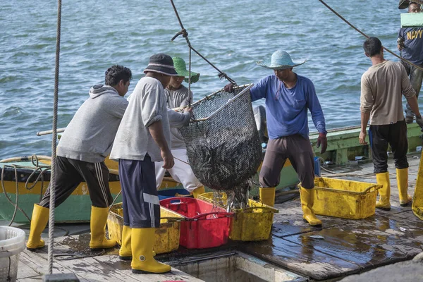 Kota Kinabalu, Malezya - 25 Şubat 2020: Malezyalı balıkçılar taze avlanan balıkları bir gemiden Kota Kinabalu, Sabah, Malezya 'daki sokak filipin pazarındaki plastik konteynırlara yüklüyorlar