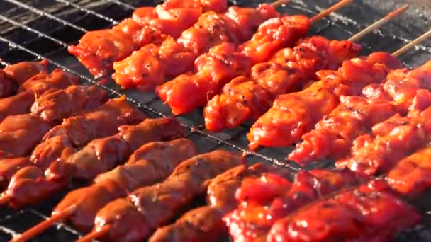 Gegrilde Kip Vlees Met Houten Stok Houtskool Grill Een Open — Stockvideo