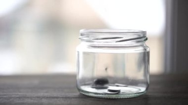 Pencerenin yanındaki tahta masada cam kavanoza düşen Ukrayna sikkeleri, kapat. Yavaş çekimde, gümüş para yığını arka plandaki boş bir cam kavanoza düşer. Ukrayna