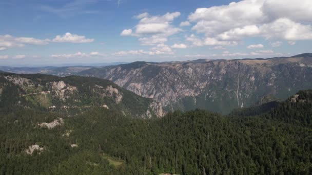 环绕着茂密针叶林和山毛榉林的高山湖景 在黑山 人们称他为Zabojsko Jezero 海拔1481米 — 图库视频影像