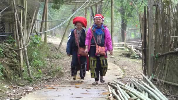 Sapa Vietnam Március 2020 Két Etnikai Hmong Hagyományos Ruhában Utcán — Stock videók