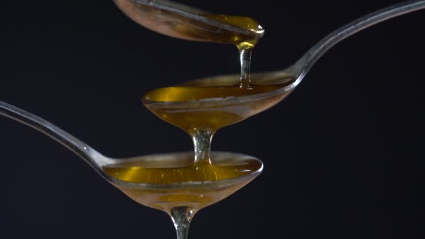 Thick Honey Dripping Three Spoons Black Background Close Honey Flowing — стоковое видео