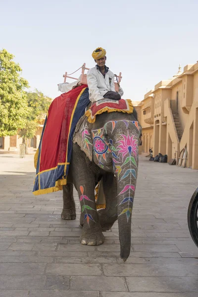 Jaipur Indien Nov 2018 Dekorerade Elefanter Rida Turister Vägen Amber — Stockfoto
