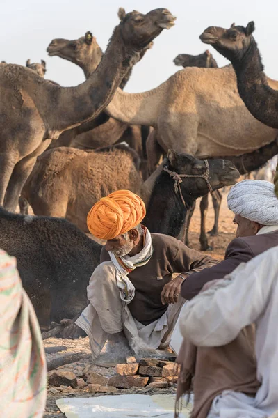 Pushkar India Nov 2018 Ινδοί Άνδρες Και Καμήλα Στην Έρημο — Φωτογραφία Αρχείου