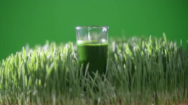 Yeşil filizlenmiş buğday tanelerinin çimenlerinden sağlıklı organik yeşil detoks suyu, yakın çekim, dönüşümlü. Yeşil yapraklar taze buğday ve buğday suyu
