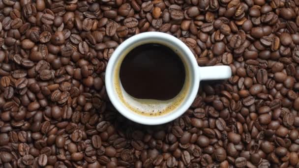焙煎したばかりのコーヒー豆の回転する背景を持つホットブラックコーヒーの白いカップ クローズアップ トップビュー — ストック動画