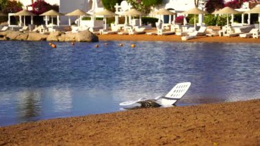 Güneş şezlongları, güneş şemsiyeleri ve kum, Mısır, Afrika 'daki Sharm El Sheikh tatil beldesinde sabahleyin sahildeki sakin Kızıl Deniz suyuna yansımaktadır. Karantina sırasında boş plajlar