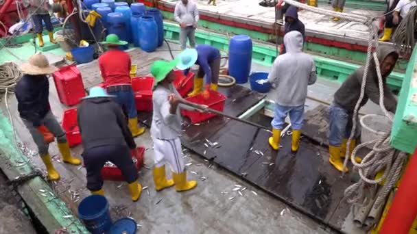 马来西亚Kota Kinabalu 2020年2月18日 马来西亚沙巴州Kota Kinabalu街头菲律宾市场 马来西亚渔民将新捕获的鱼从船上装入塑料容器 — 图库视频影像