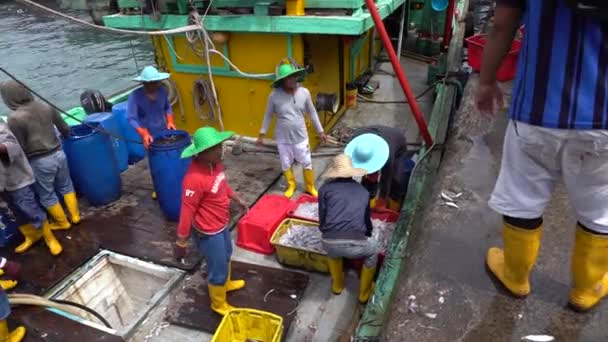 马来西亚Kota Kinabalu 2020年2月18日 马来西亚沙巴州Kota Kinabalu街头菲律宾市场 马来西亚渔民将从船上新捕获的鱼装入塑料容器 — 图库视频影像